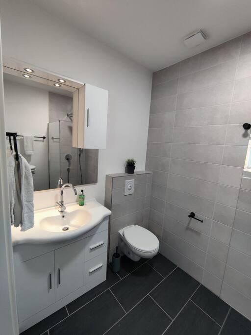 Amstetten Penthouse Экстерьер фото